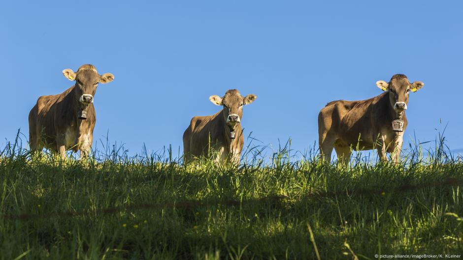 Methan: Der böse Zwillingsbruder von CO2