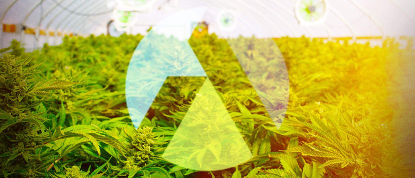 Aphria Signs Greenhouse Deal in Denmark - Officially a Global Heavyweight