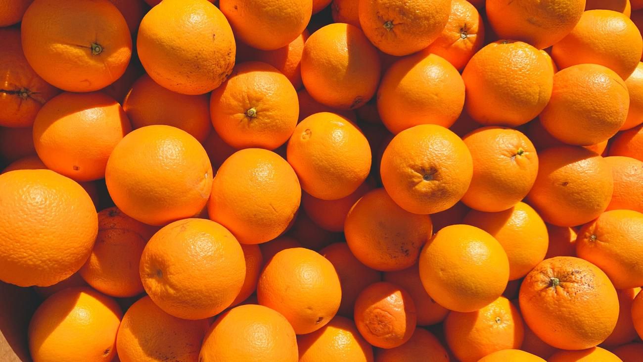 Nachhaltigkeit bei Orangen: Meine kleine Orangenernte