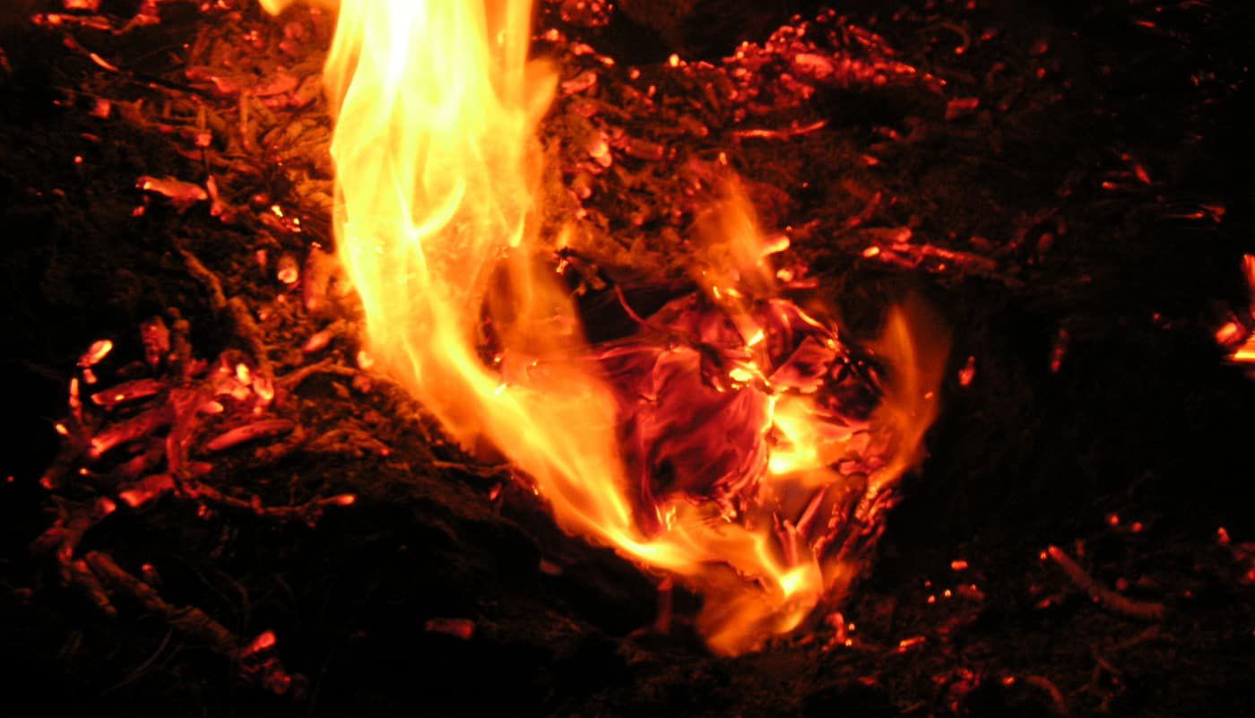 BURNING BOOKS: Social networks are more destructive than any bonfire