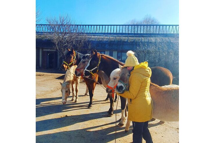 Flucht mit Pferden aus der Ukraine: „Ohne meine Pferde wäre ich nicht gegangen"