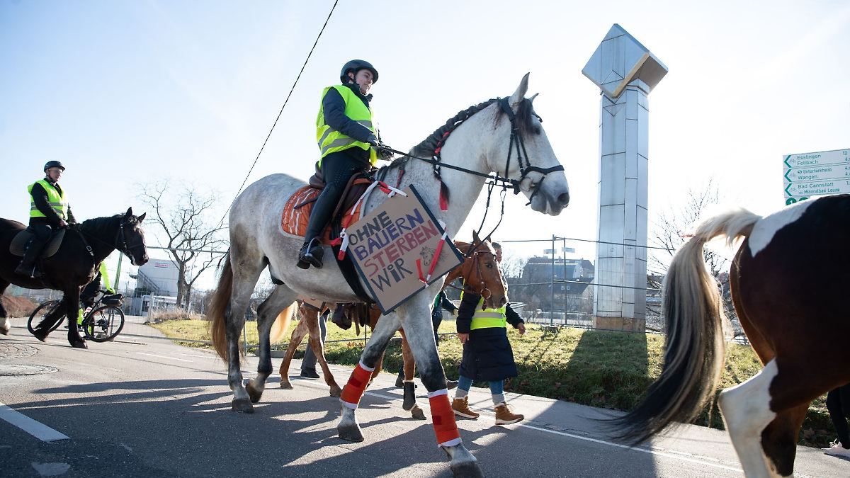 Demo-Zug mit rund 100 Pferden und 60 Kutschen in Stuttgart