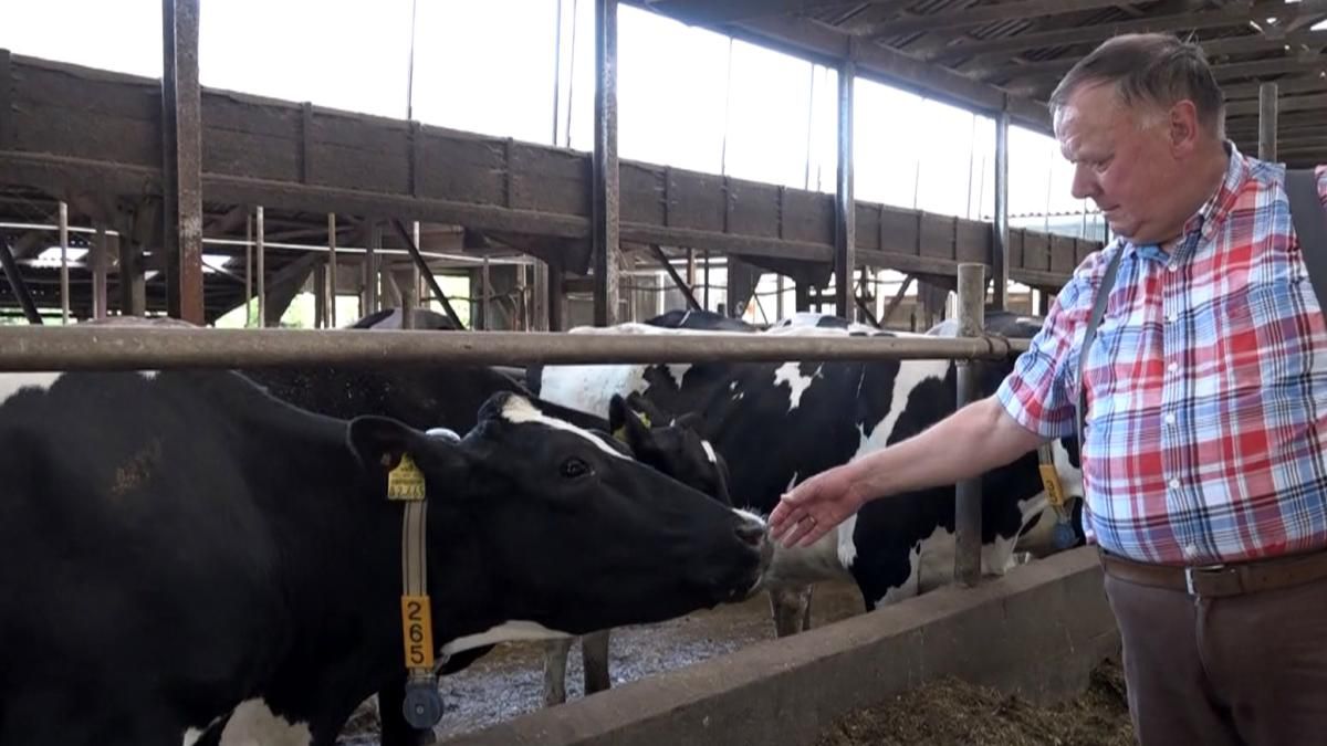 Molkereiprodukte werden teurer - Sorge vor Produktionsstopps und Pleiten in der Landwirtschaft (2022)