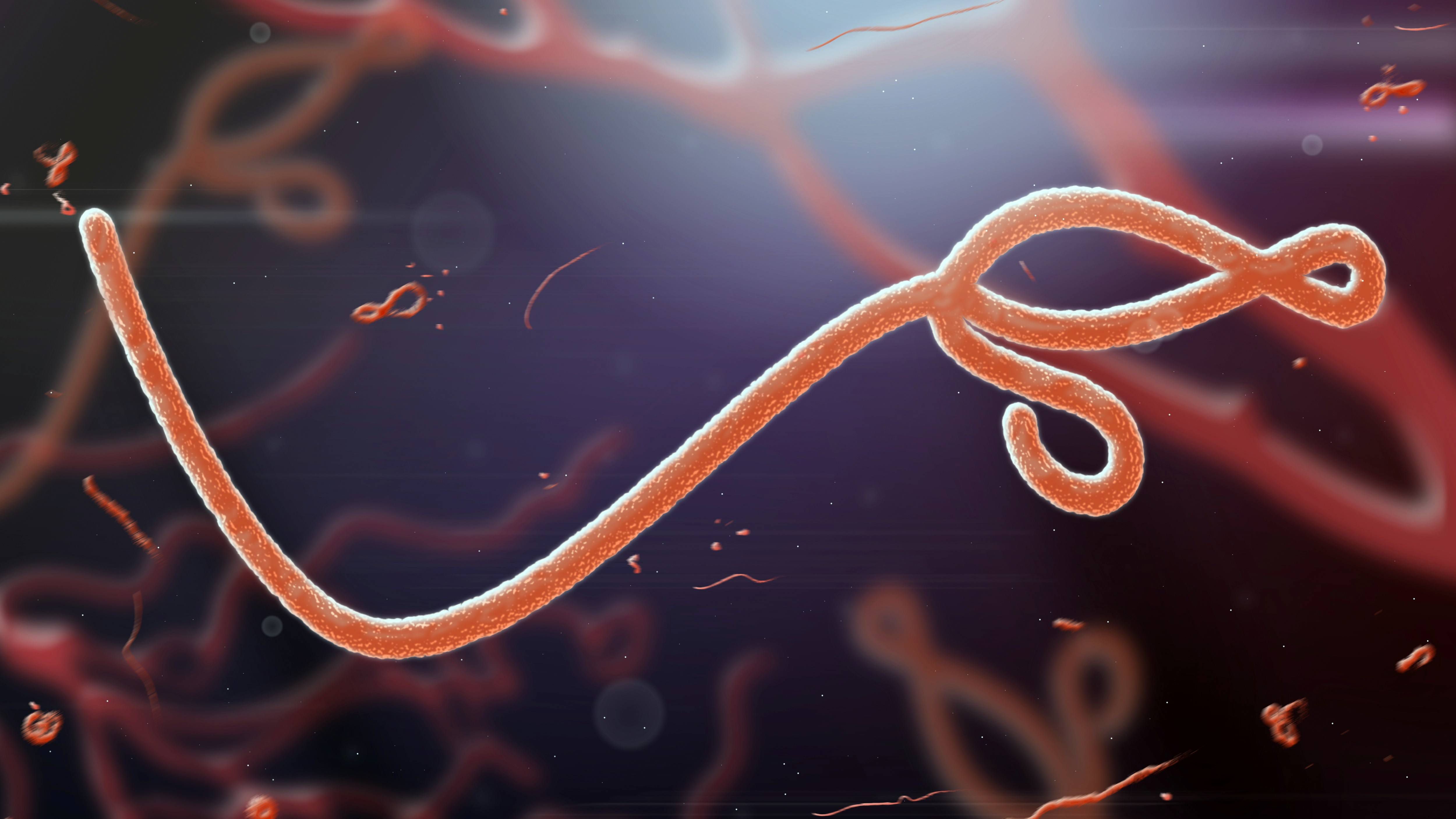 Top Six Diseases Should Worry You More Than Ebola