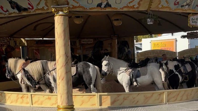 Kommentar: Politik in Kaiserslautern muss das Ponyreiten auf Kerwe verbieten