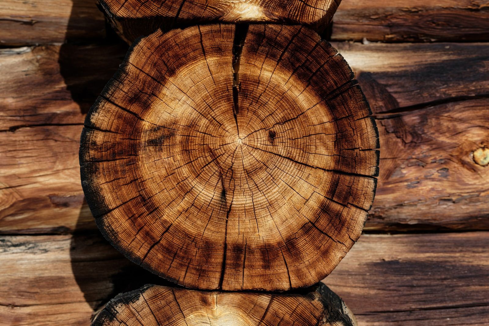 Wie nachhaltig sind Holzhäuser?