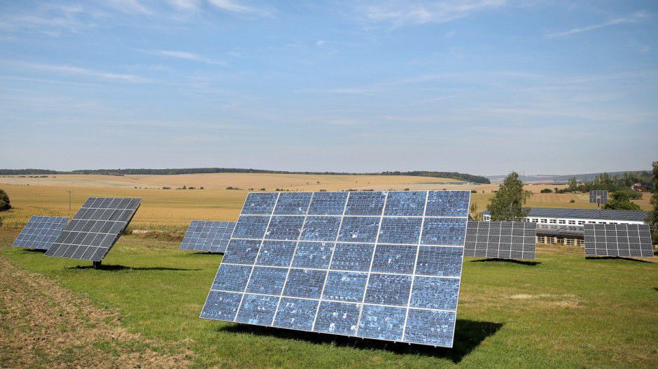 "Milchkühe sollen unterm Solardach weiden"