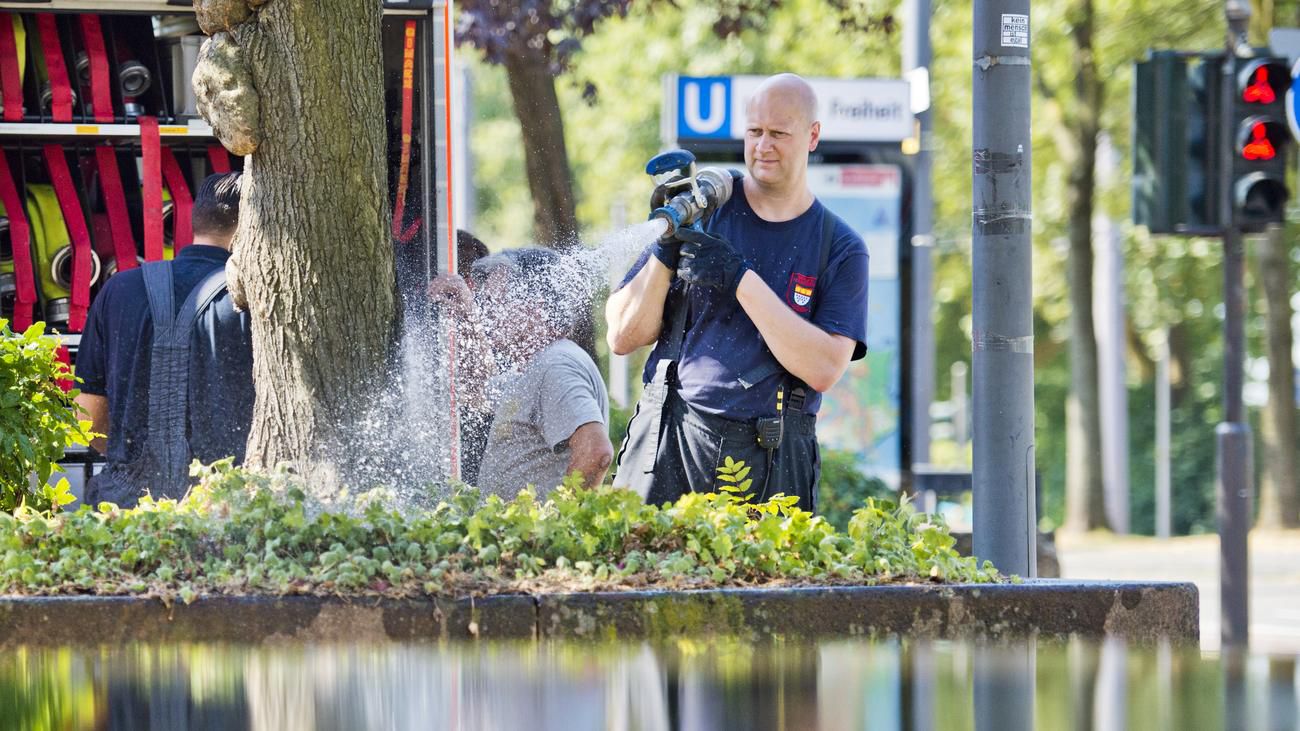"Gießen wird unsere Stadtbäume bald nicht mehr retten"