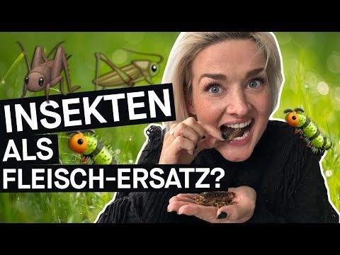 Insekten: Fleischersatz und Klimaretter - funktioniert das im Alltag?