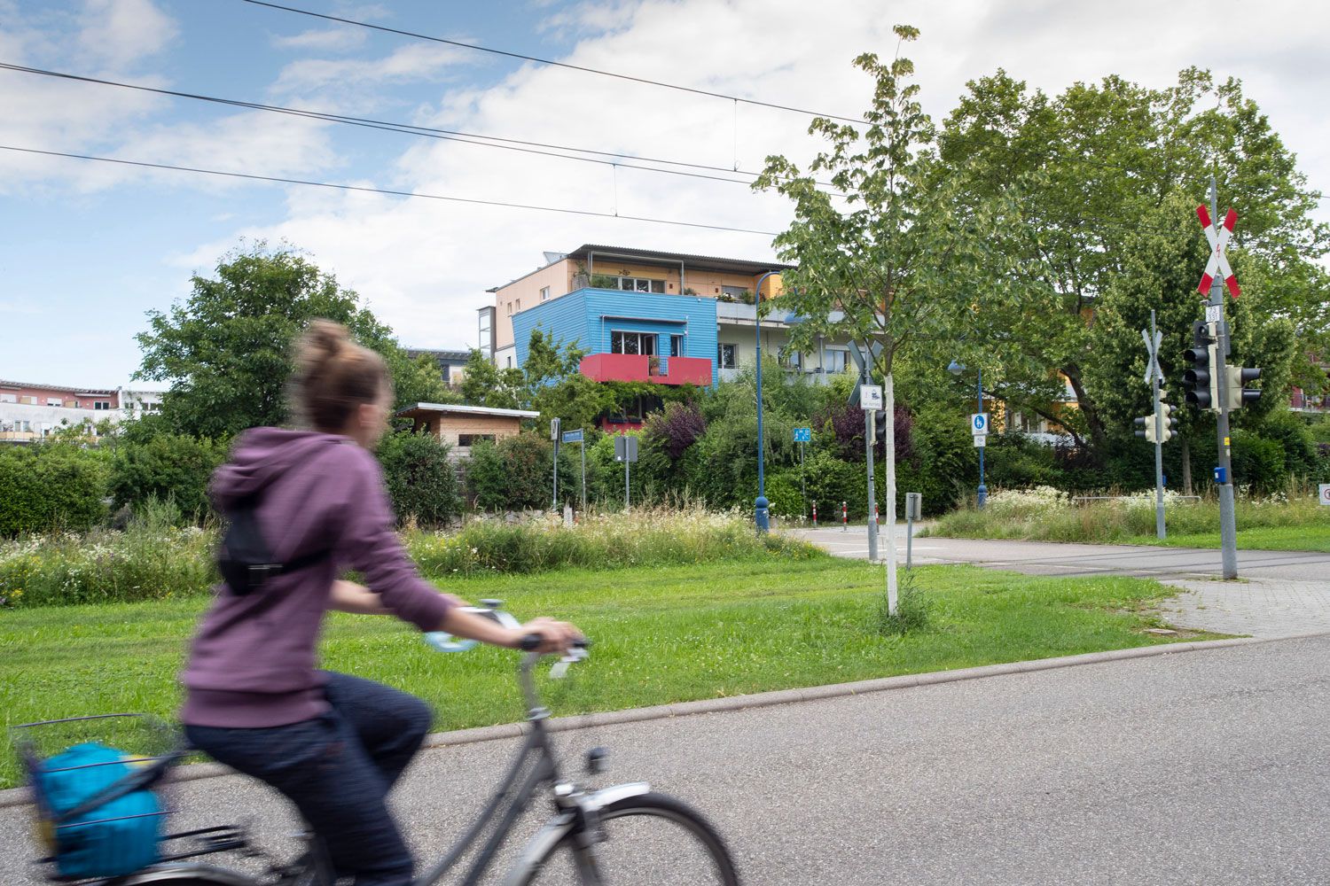 This German neighborhood has everything. Except cars. - Experience Magazine