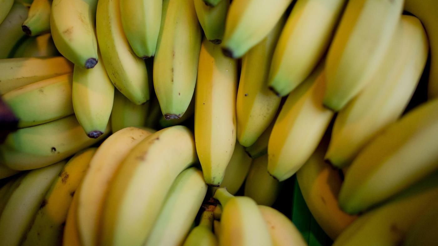 Ausgerechnet Bananen: Wie Obstbauern in Brandenburg dem Klimawandel trotzen