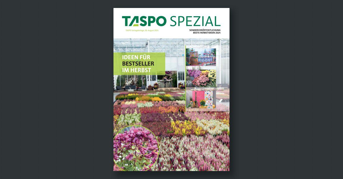 TASPO Spezial Beste Herbstideen 2024