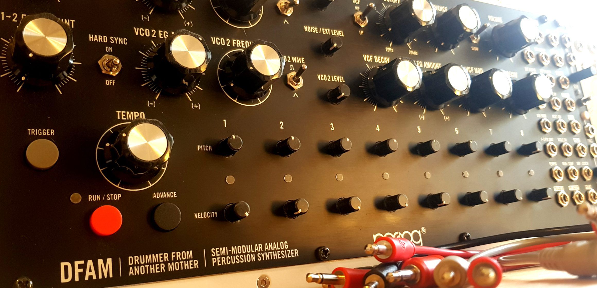 Workshop & Sounds: Moog DFAM Synthesizer-Patches - AMAZONA.de