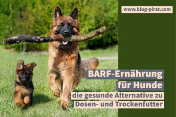 BARF-Ernährung für Hunde, die gesunde Alternative zu Dosen- und Trockenfutter