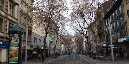 U-Strab und Stadtplanung in Karlsruhe: Bäume schief, weg damit