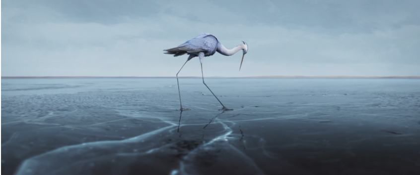 ☛ Sous la Glace – Unter dem Eis | Trickfilm Tiere Natur