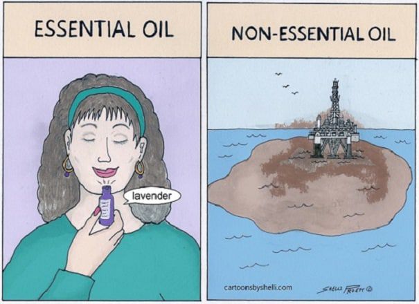 Essential vs. Non-Essential Oil
