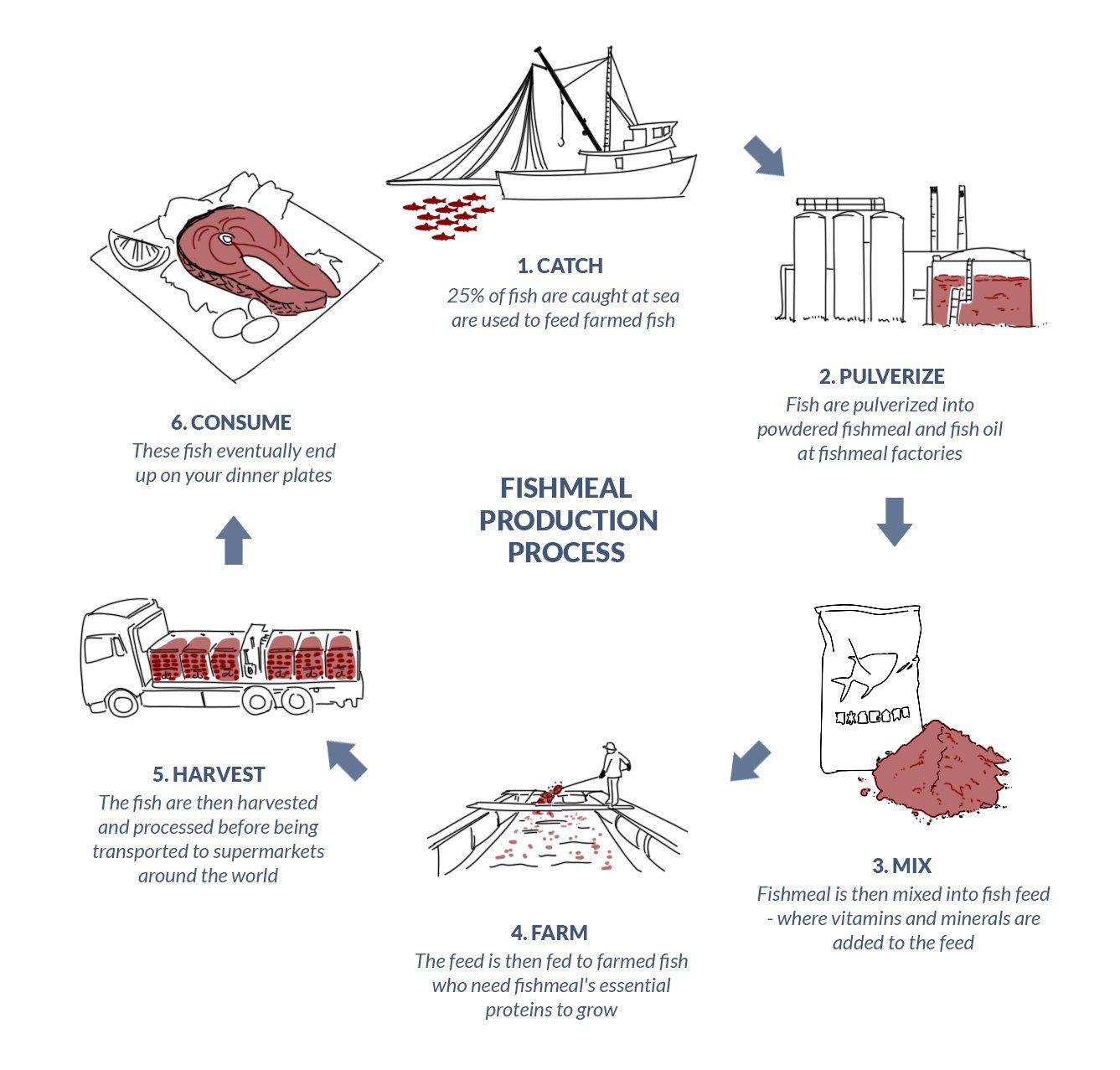 The fishmeal production process  Global Reporting Program