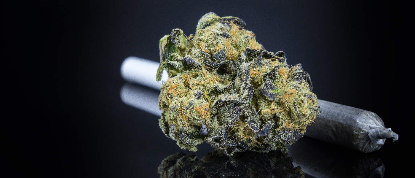 Ontario Premier Expresses Concern At Public Marijuana Consumption