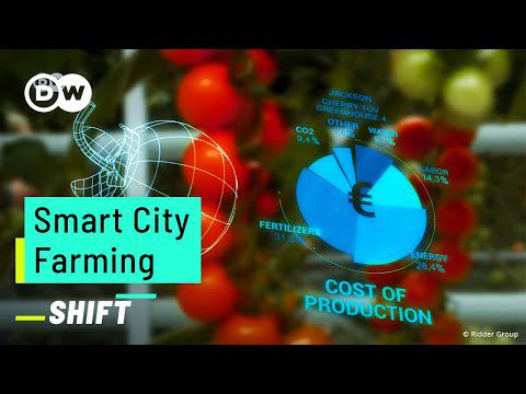 Smart City: How Can We Feed 10 Billion People? | Future Smart City Projects | Urban Farming