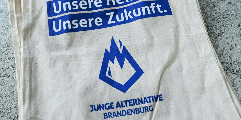 Verfassungsschutz zur Jungen Alternative: Rechtsextrem in Brandenburg