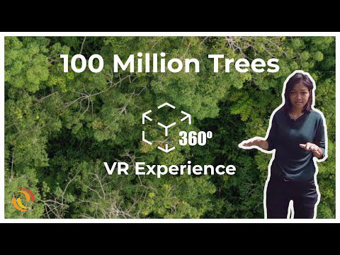 360°-Video: 100 Million Trees for Borneo