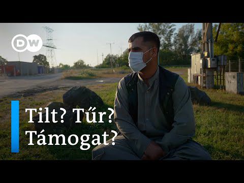 Afgán menekültek Magyarországon a menedékügyi rendszer útvesztőiben