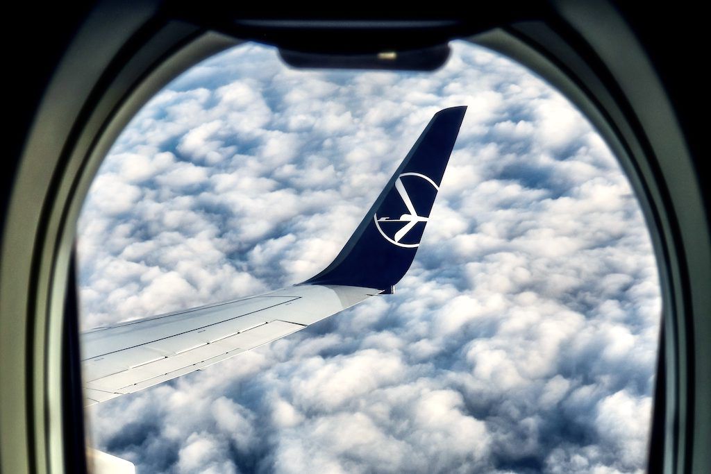 Polish Airlines fliegt wieder auf Gewinnkurs