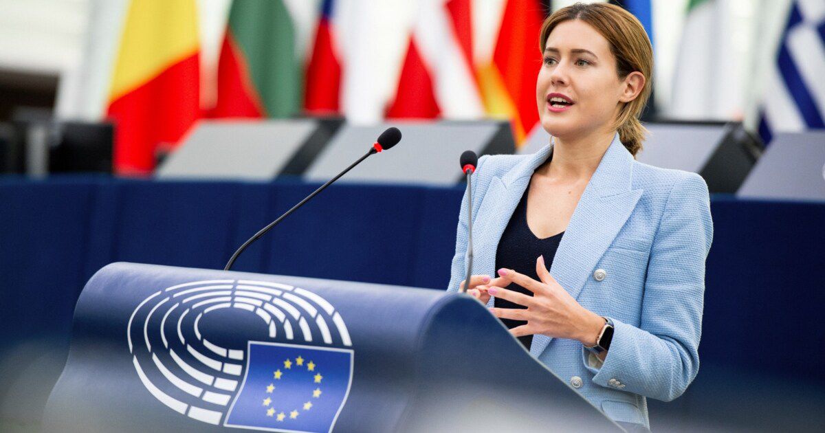 Gamon: „EU-Parlament ist nicht familienfreundlich"