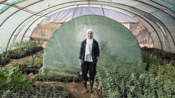 Miniwälder in Jordanien: Das nächste kleine Ding