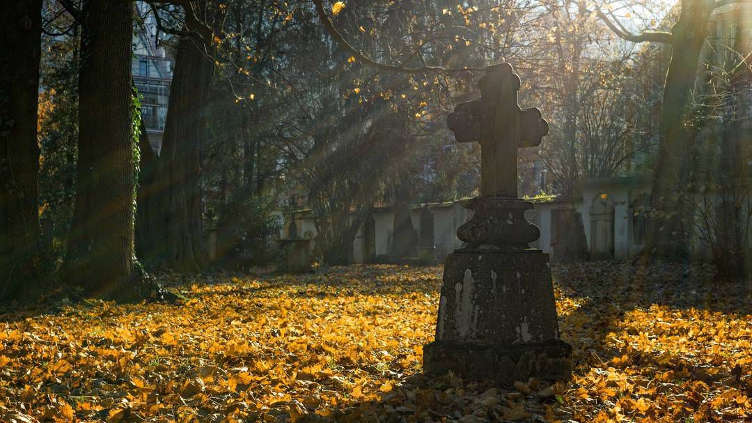 Von wegen Ruhestätte: Auf dem Friedhof tobt das Leben
