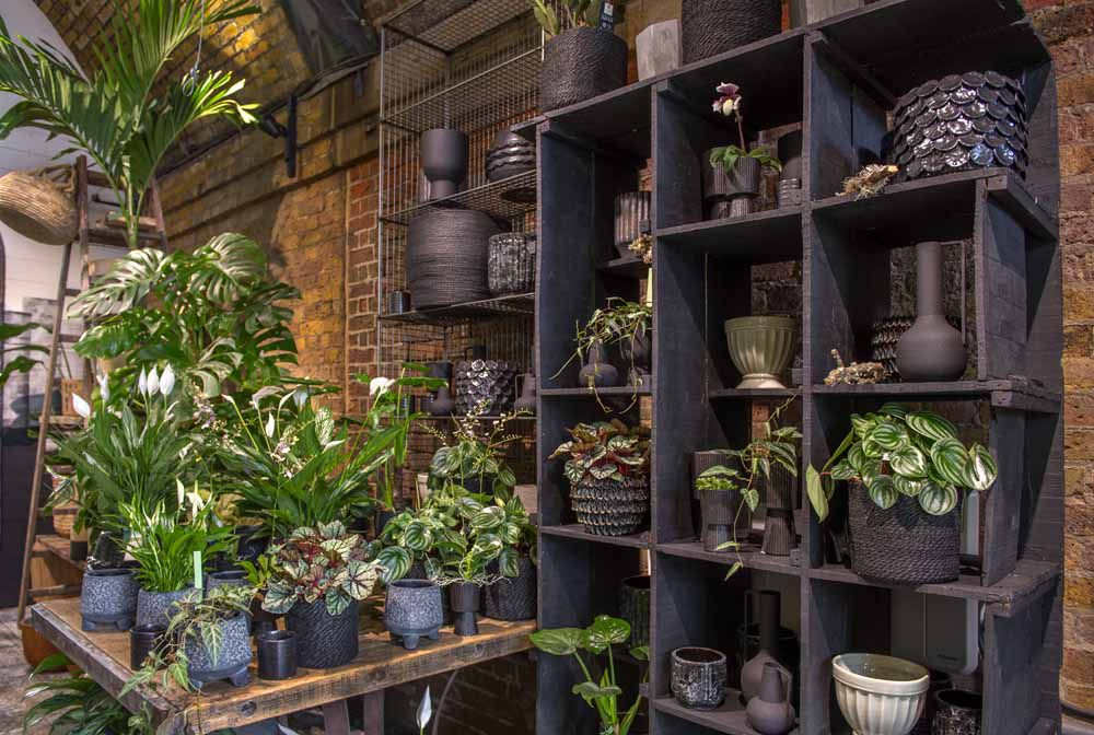 With its new Green Room dedicated to indoor plants, stylish ranges of festive gifts and decorations, family entertainment and award-winning Cafe, the W6 Garden Centre is the place to go for festive inspiration