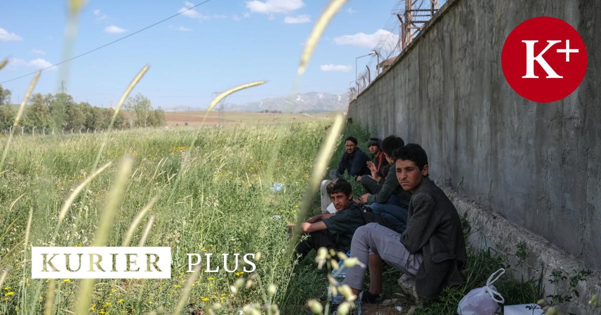 UNHCR-Chef Österreich: „Nur ein Bruchteil will nach Europa"