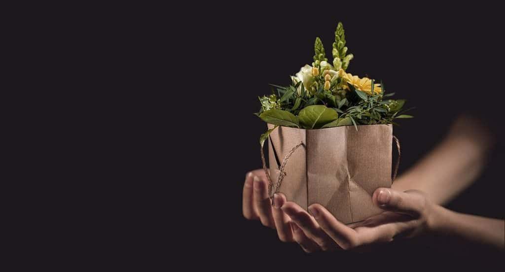 Hands holding gift of flowers