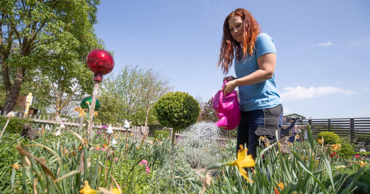 Profi-Tipps: Was man bei der Gartenpflege jetzt beachten sollte