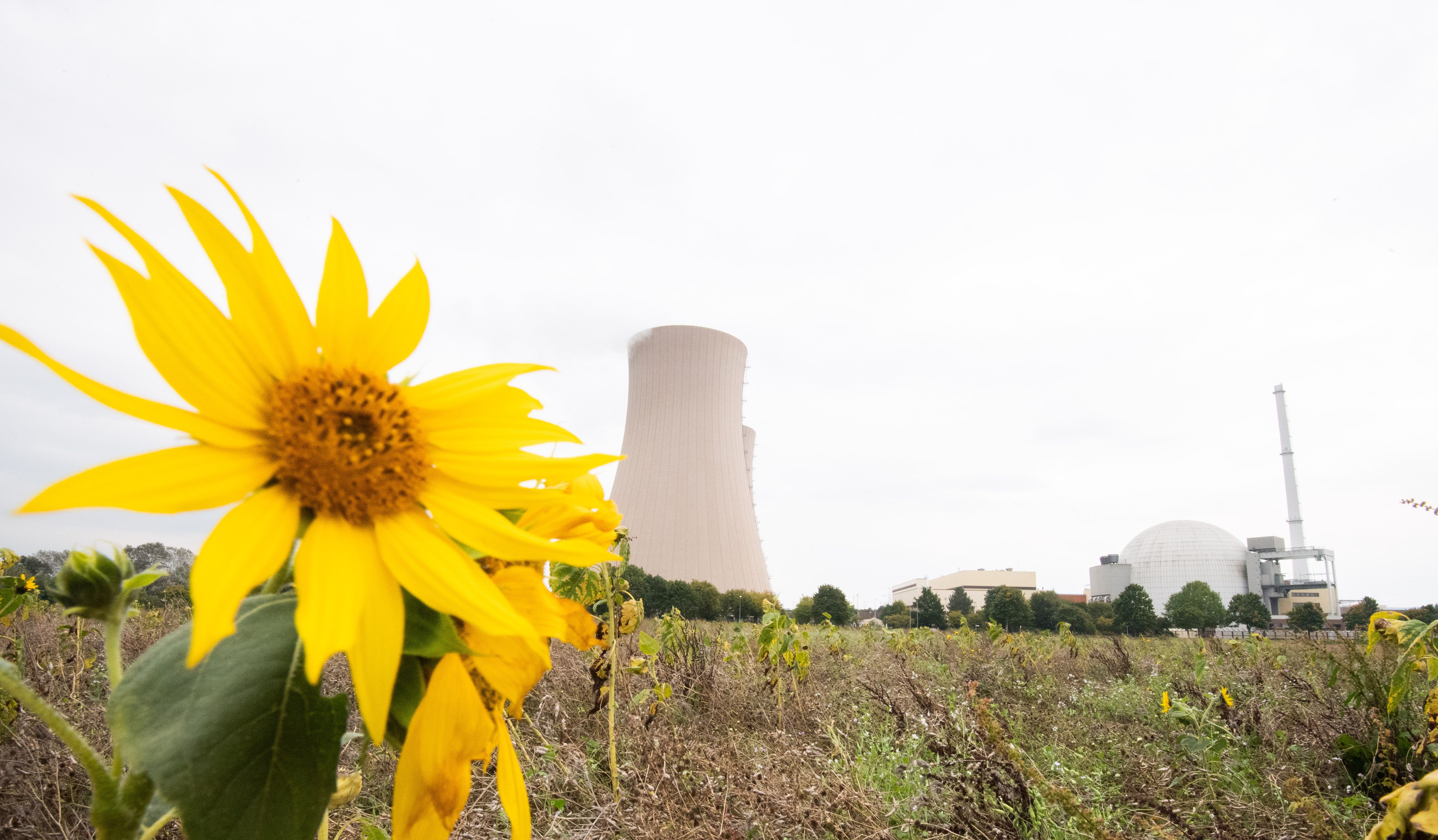 Debatte über Atomstrom - Kernkraft als Klimaretter?
