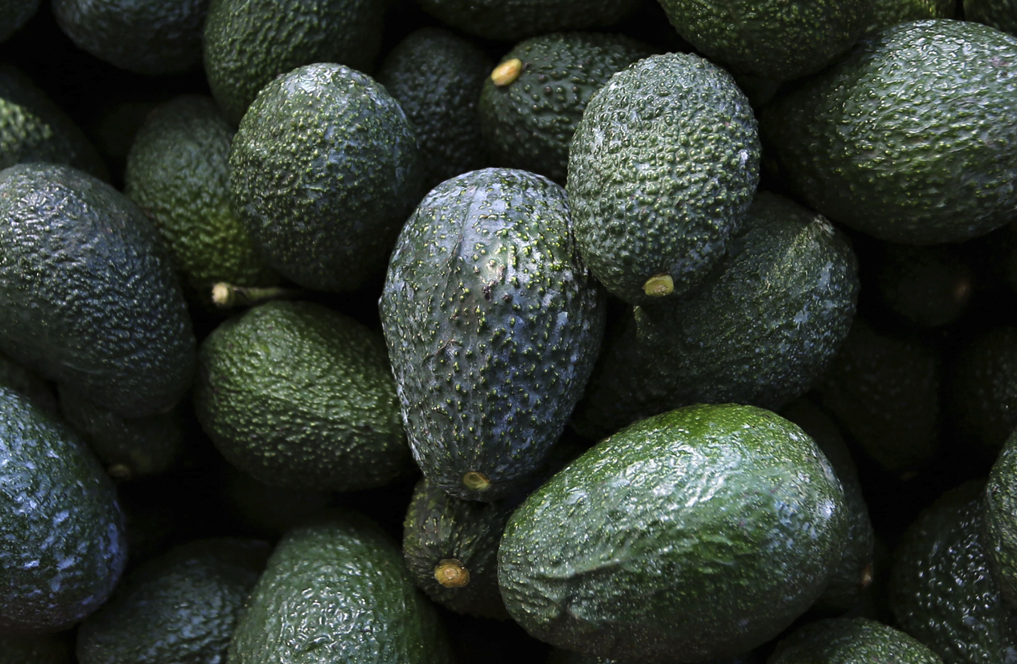 Kurz vor dem Super Bowl: USA stoppen Avocado-Einfuhren aus Mexiko