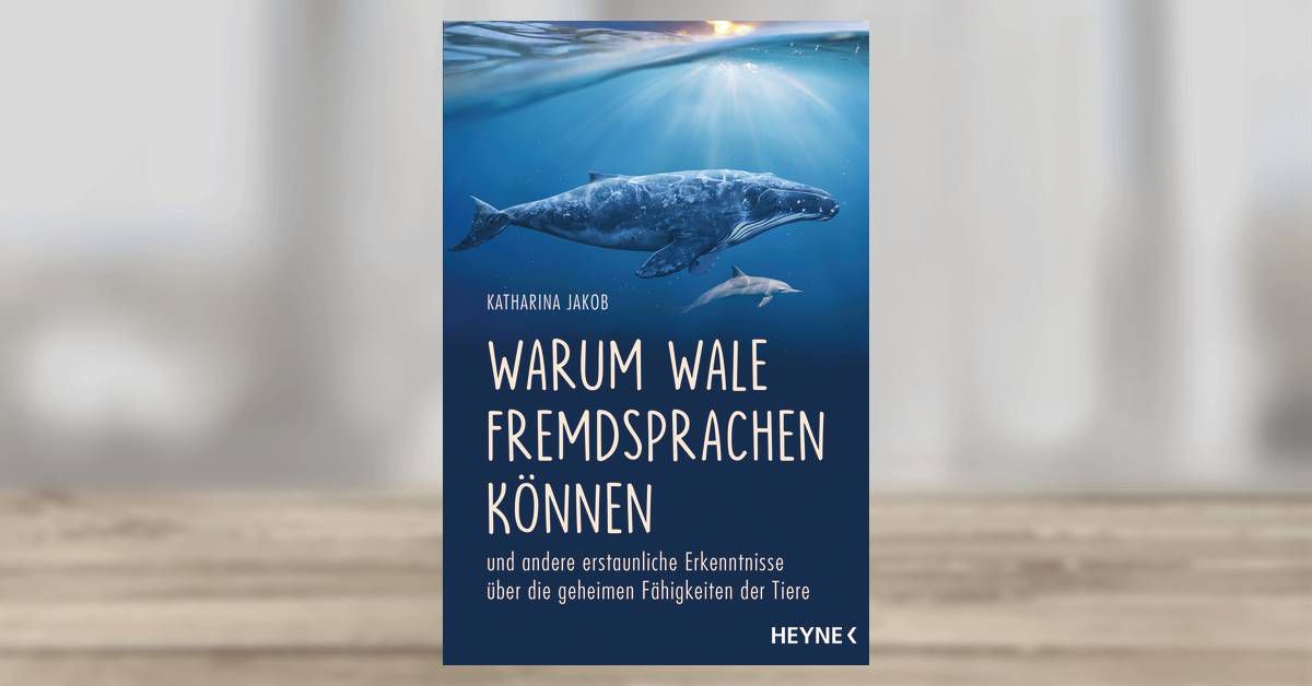 Warum Wale Fremdsprachen können