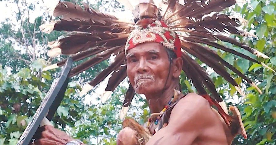 Klimakämpfer in Borneo: Indigene retten Regenwald 