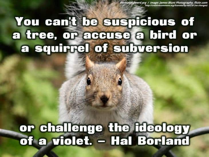 Squirrel on fence - Earth day quotes