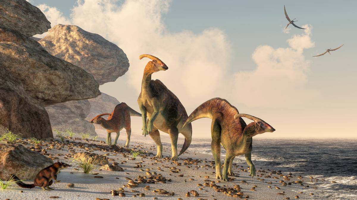 Paläopathologie: Unter welchen Krankheiten litten die Dinosaurier?