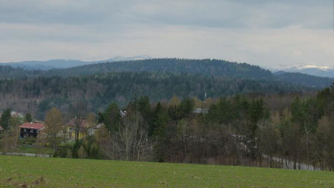 Zecken im Bayerischen Wald