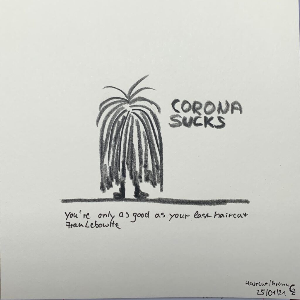 hairbert - corona sucks