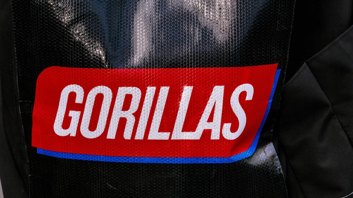 Arbeitsgericht bestätigt Kündigungen gegen Berliner Gorillas-Rider