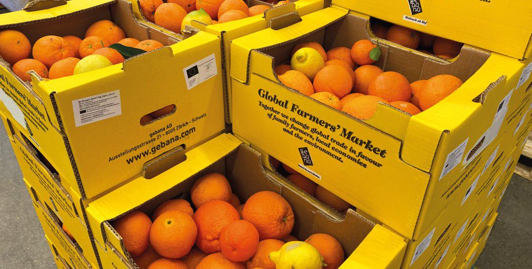13 Kilo süße Orangen im Paket