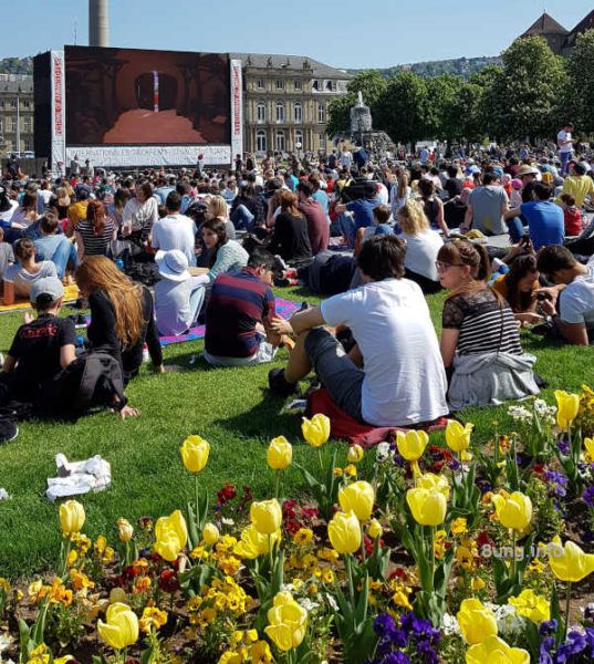 Blühende Tulpen, Zuschauer , große Leinwand beim Trickfilmfestival
