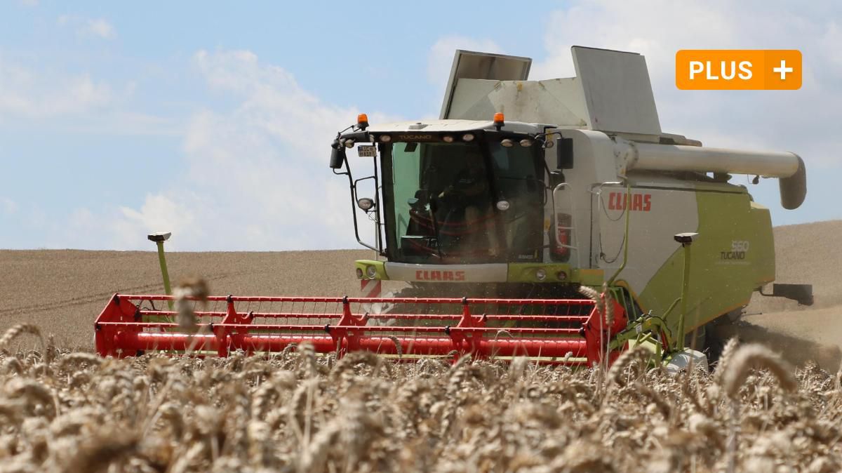 Bauern arbeiten wegen verspäteter Ernte in Bayern unter Zeitdruck
