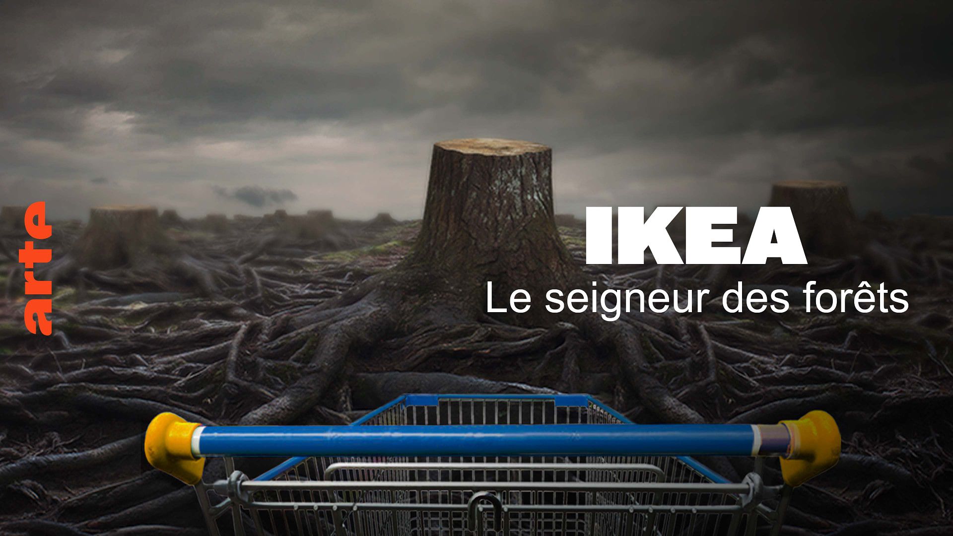 Ikea, le seigneur des forêts - Regarder le documentaire complet | ARTE