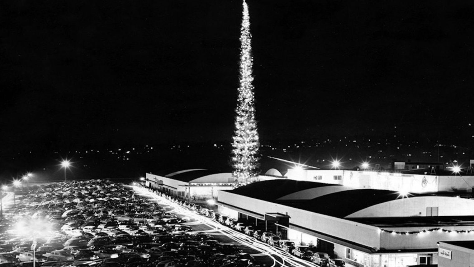 До сих пор с 1950 года не побит рекорд самой высокой рождественской елки в мире