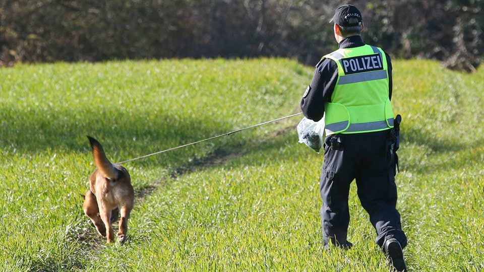 Zuverlässigkeit von Mantrailer-Hunden: Polizist klagt gegen Überprüfung durch Uni Leipzig | MDR.DE